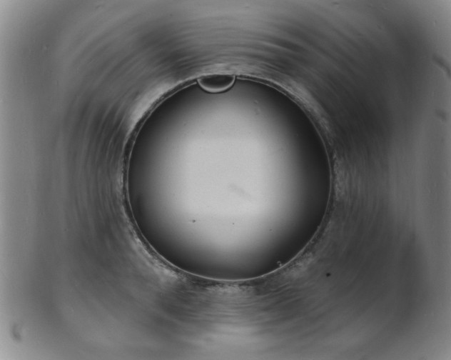 X0000101690896200807101510