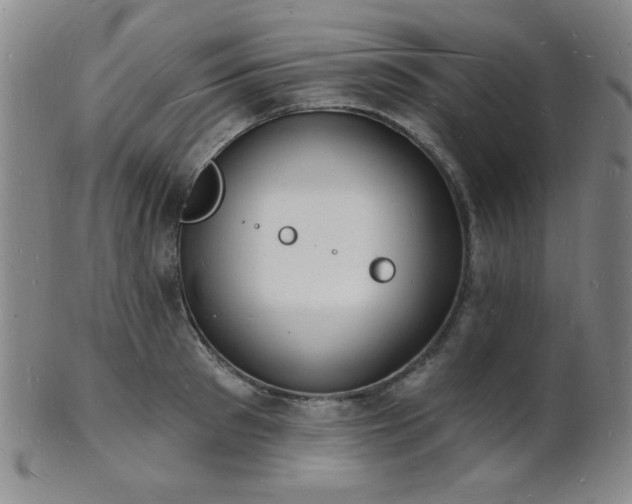 X0000101690897200807101510