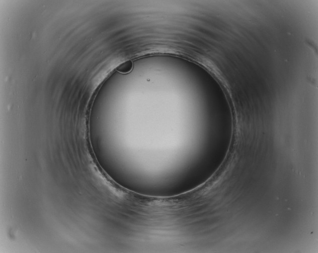 X0000101690898200807101510