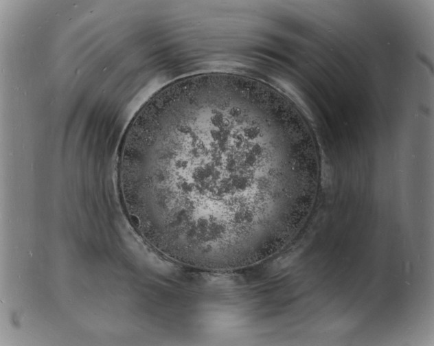 X0000101690899200807101510