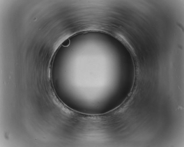 X0000101690900200807101510