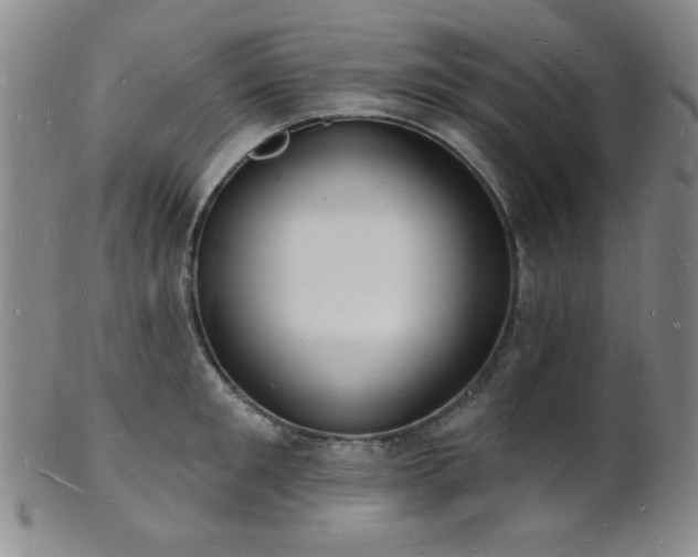 X0000101690901200807101510