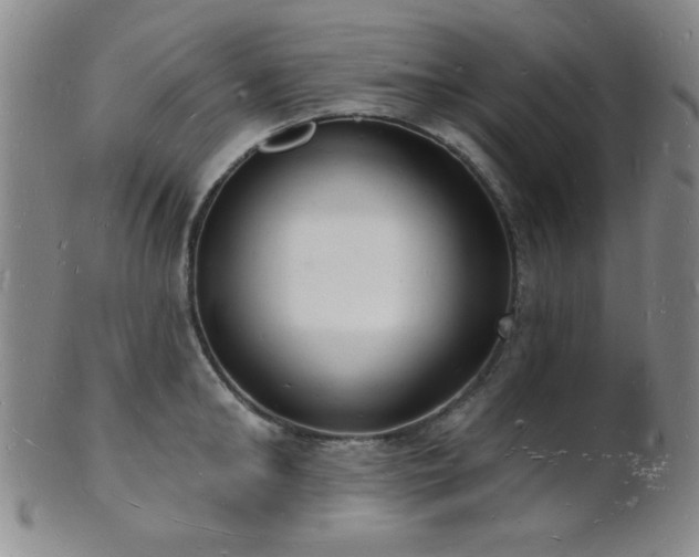 X0000101690902200807101510