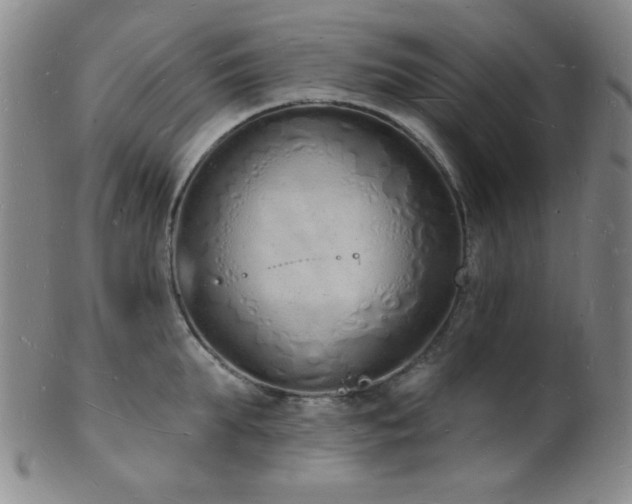 X0000101690903200807101510