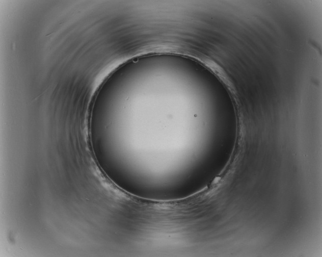 X0000101690904200807101510