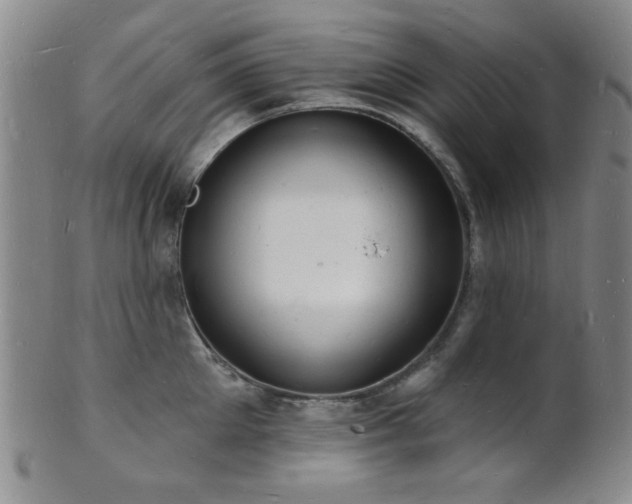 X0000101690905200807101510