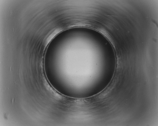 X0000101690906200807101510