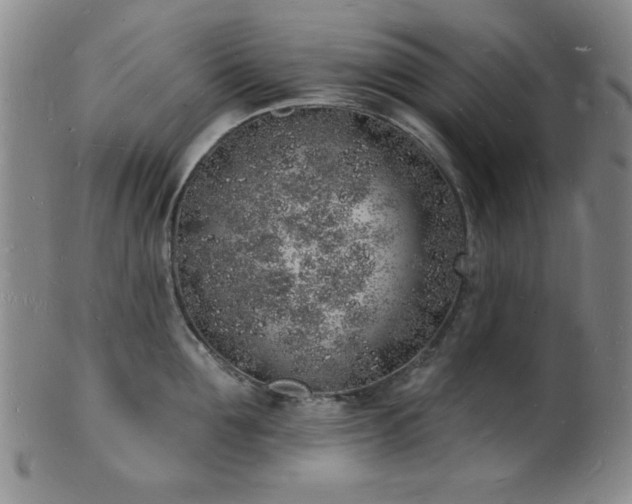 X0000101690907200807101510