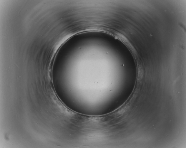 X0000101690908200807101510