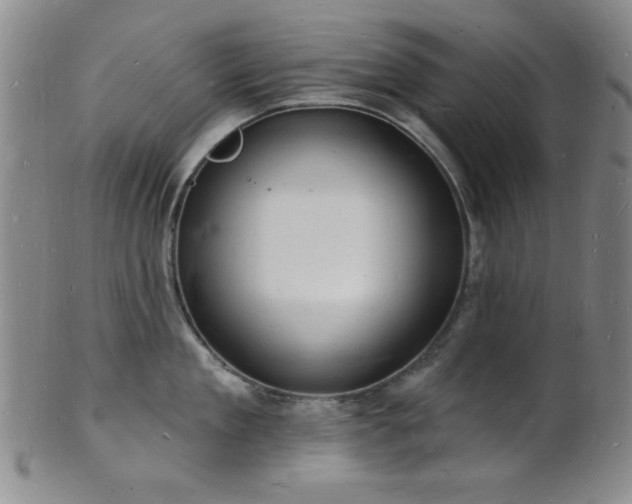 X0000101690909200807101510