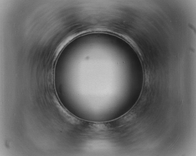 X0000101690911200807101510