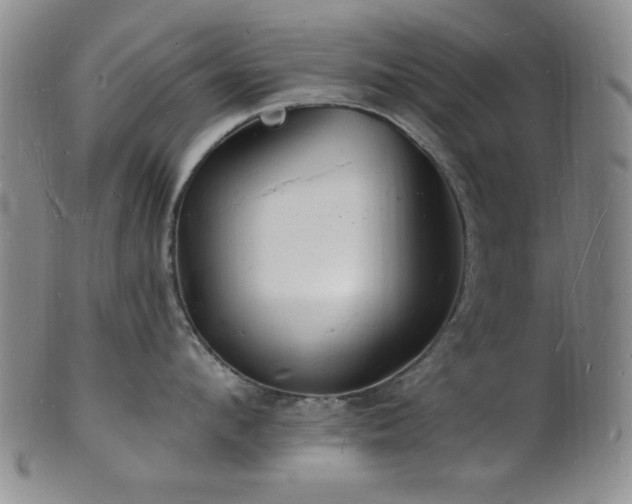 X0000101690912200807101510