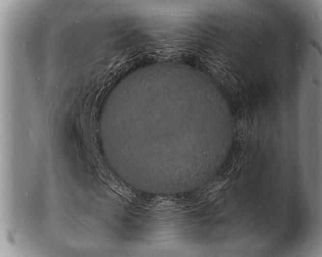 X0000101690913200807101509