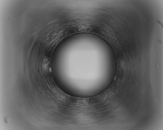 X0000101690914200807101509