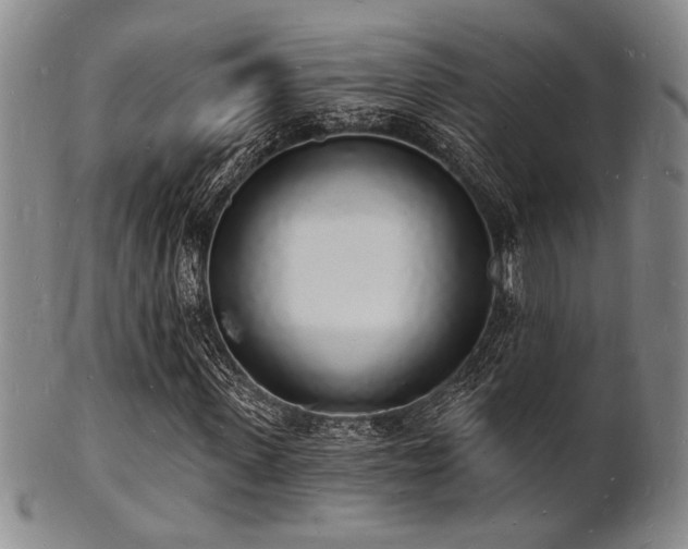 X0000101690915200807101509