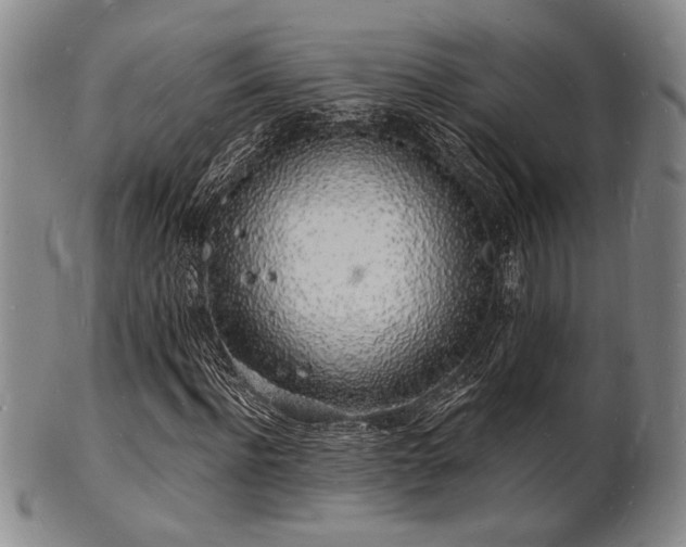 X0000101690916200807101509