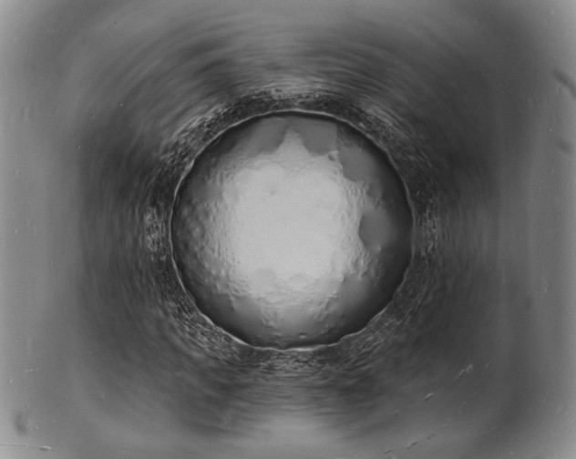 X0000101690917200807101509