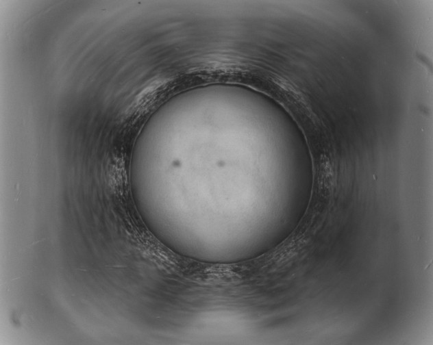 X0000101690918200807101509