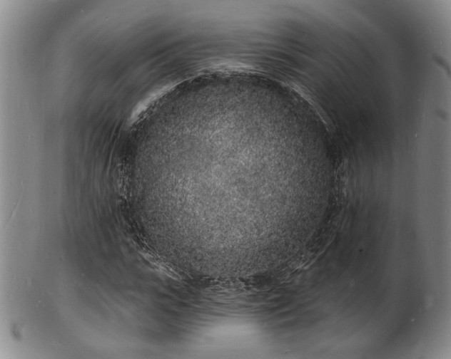 X0000101690919200807101509