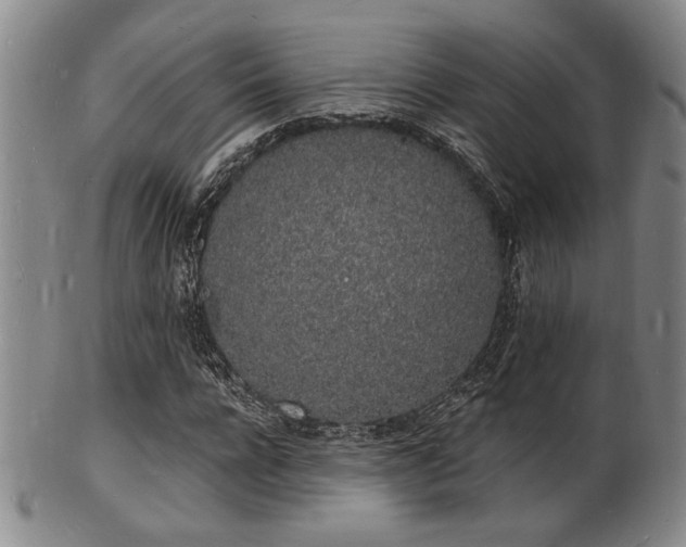 X0000101690920200807101509