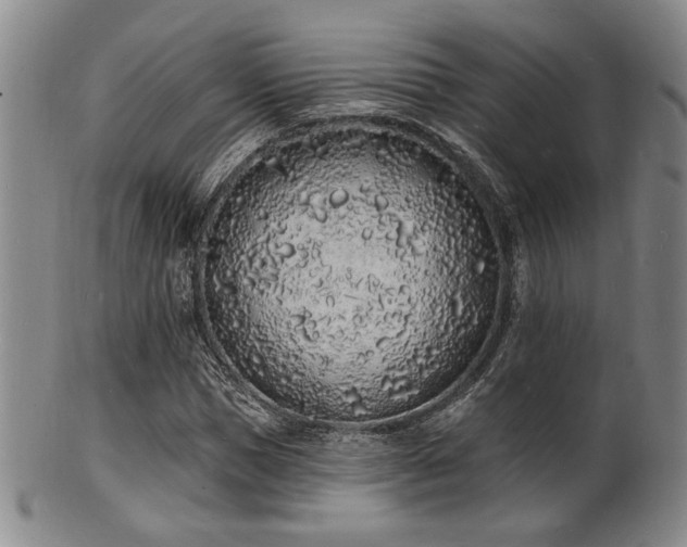 X0000101690921200807101509