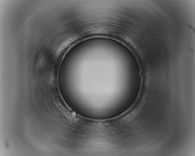 X0000101690922200807101509