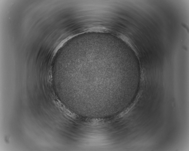 X0000101690923200807101509