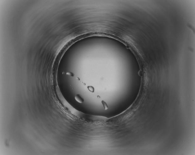 X0000101690924200807101509