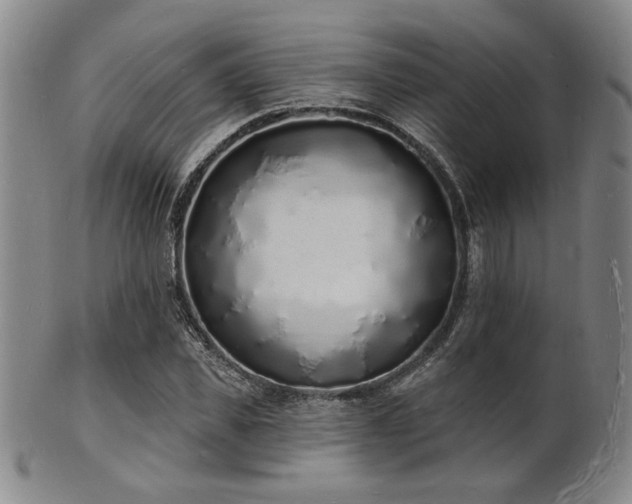 X0000101690925200807101509