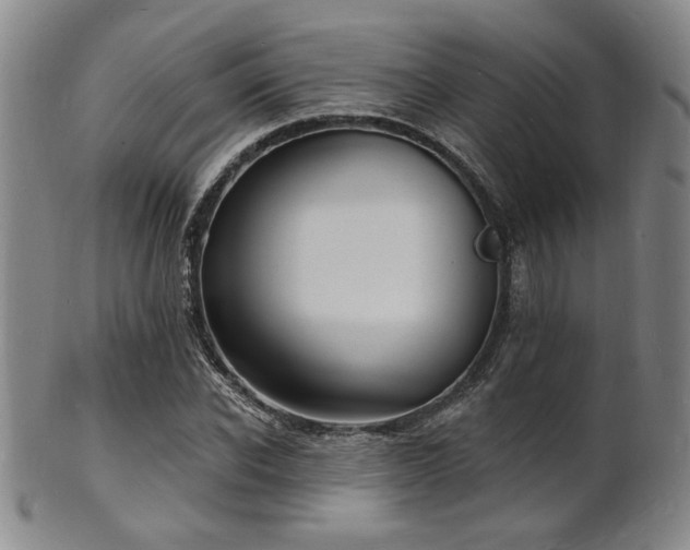 X0000101690926200807101509