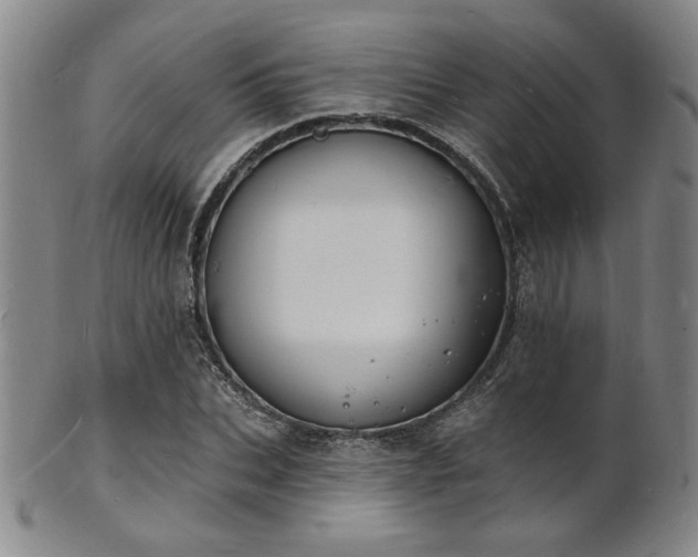 X0000101690927200807101509