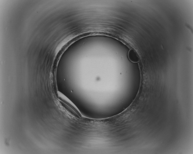 X0000101690928200807101509