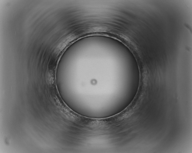 X0000101690929200807101509