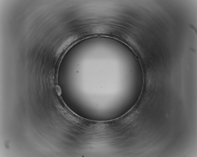 X0000101690930200807101509