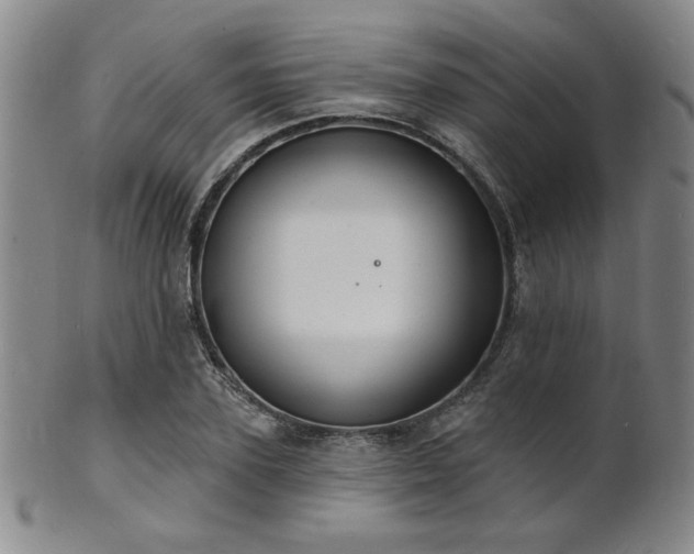 X0000101690931200807101509