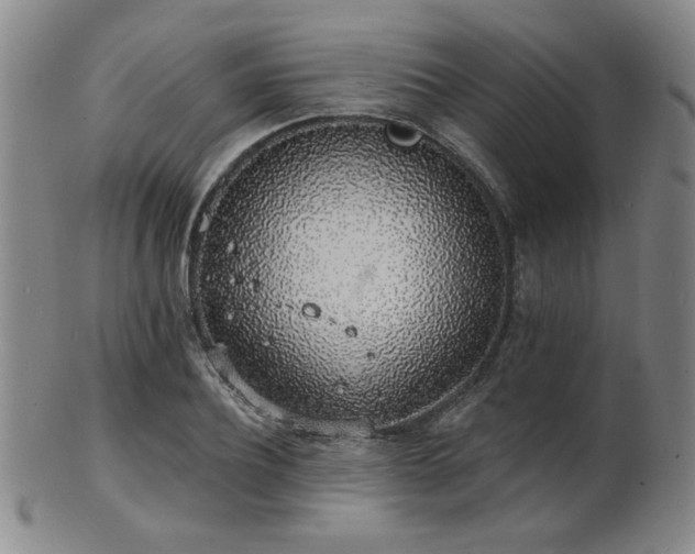 X0000101690932200807101509