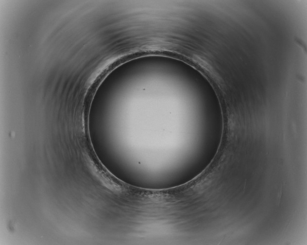 X0000101690934200807101509