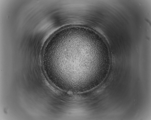 X0000101690935200807101509