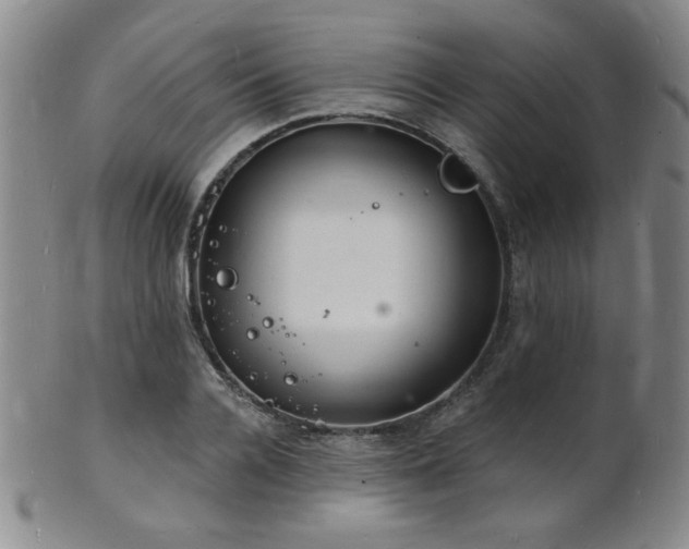 X0000101690936200807101509