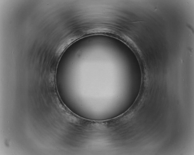 X0000101690937200807101509