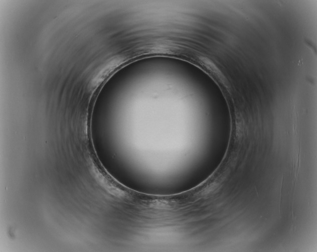 X0000101690938200807101510