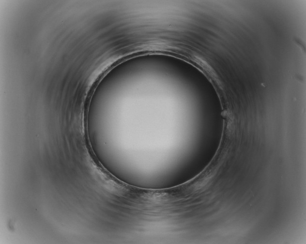 X0000101690939200807101510