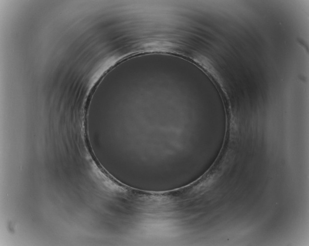 X0000101690941200807101510