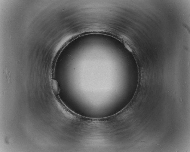 X0000101690942200807101510