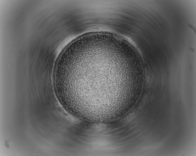 X0000101690943200807101510