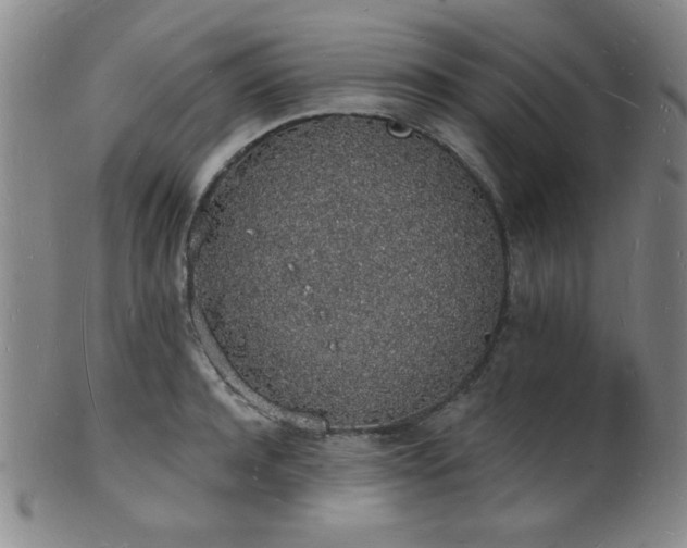 X0000101690944200807101510