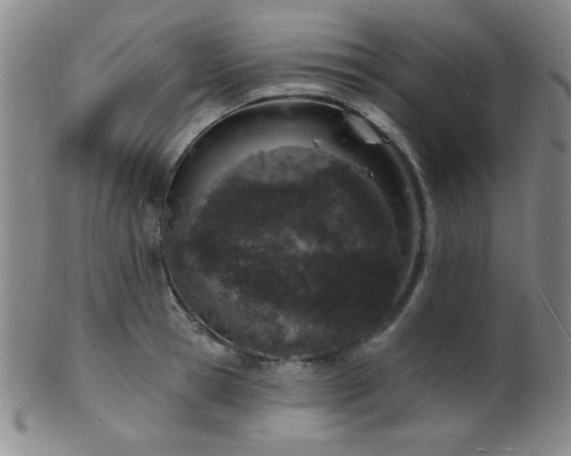 X0000101690945200807101510