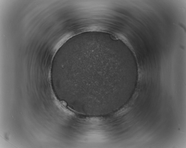 X0000101690946200807101510