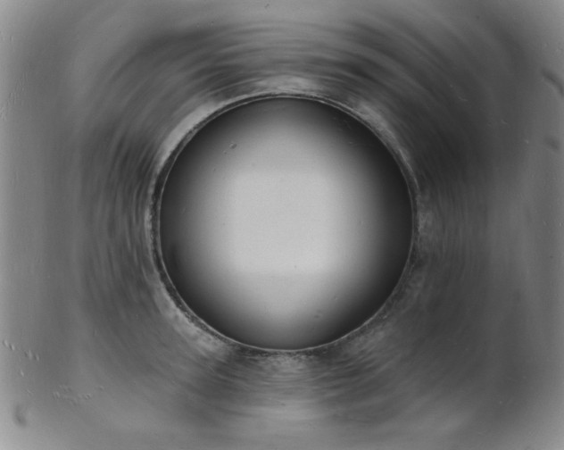 X0000101690947200807101510