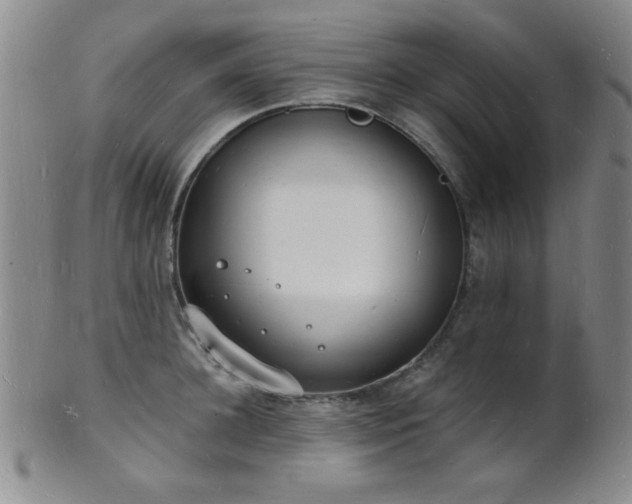 X0000101690948200807101510